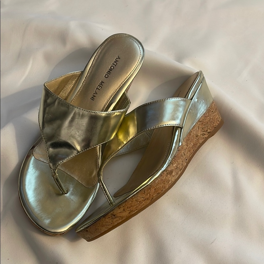 Antonio Melani Gold Wedge Sandals